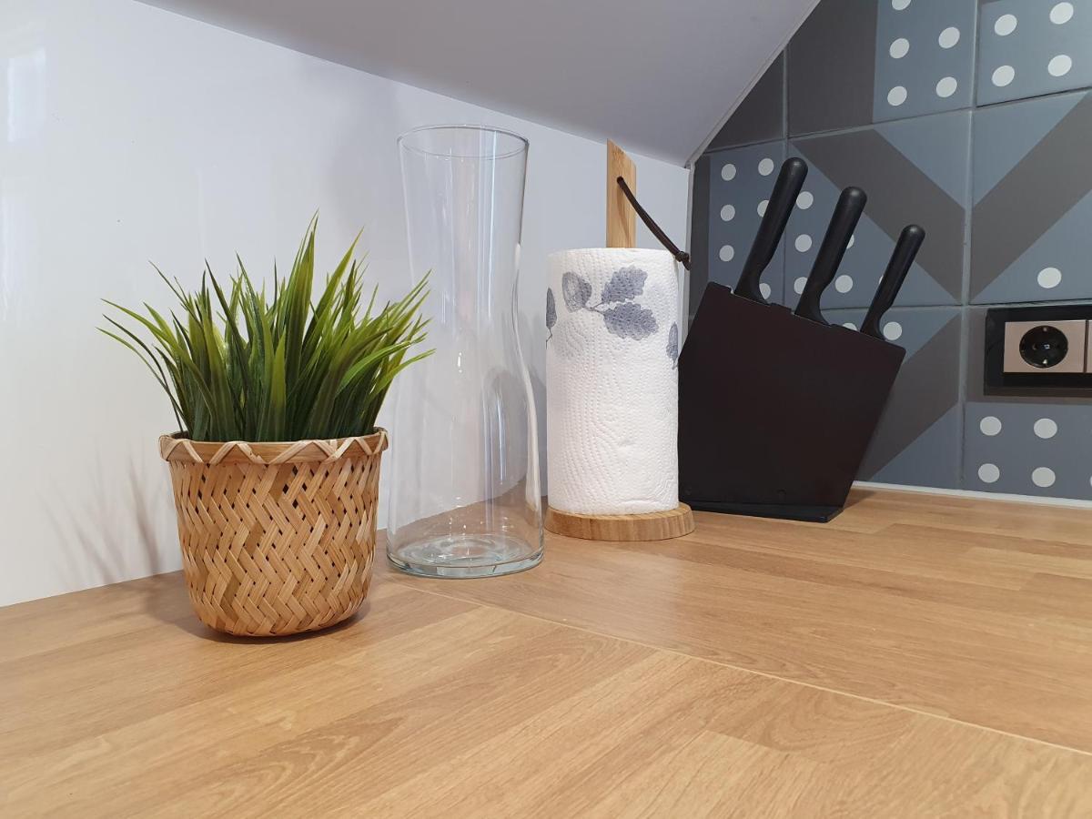 Kk Apartment Ventspils Bagian luar foto